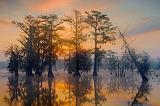 Lake Martin Sunrise_45810